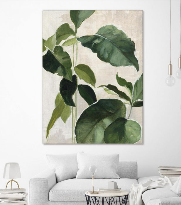 \"Tropical Study Ii\" Giant Art 72x54 Wall Art