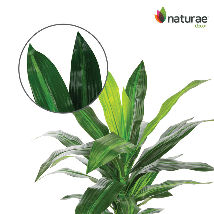 Artificial 25\" Dracaena In Black Pot