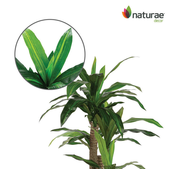 Artificial 49\" Dracaena In Black Pot