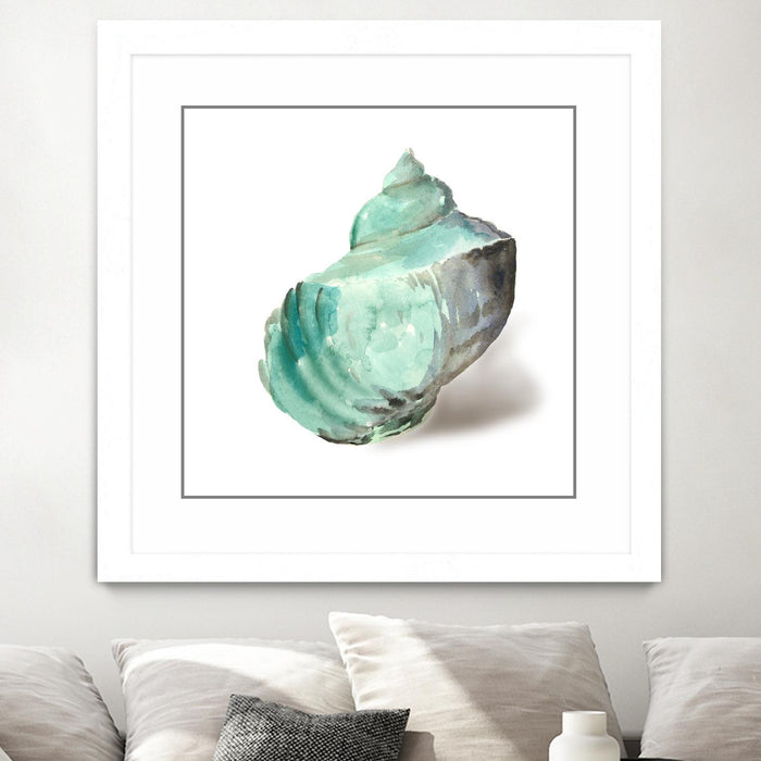 \"Shell In Mint\" Matted and Framed White 36x36 Wall Art