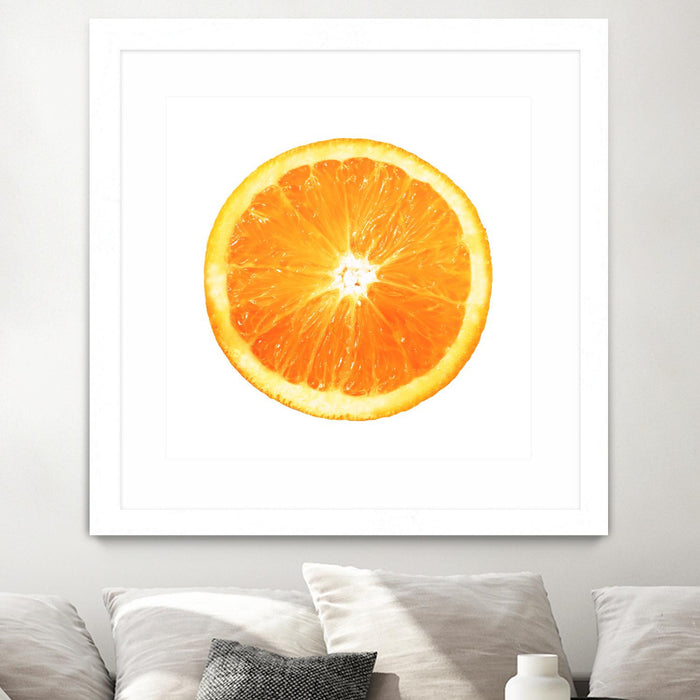 \"Citrus Cultivar\" Matted and Framed White 36x36 Wall Art