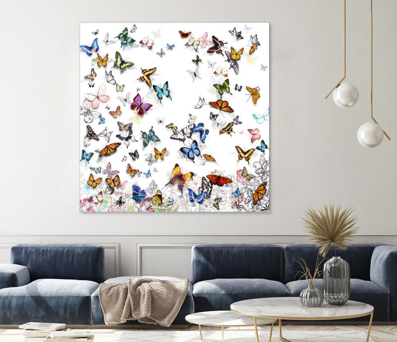 \"Papillon\" Giant Art 72x72 Wall Art