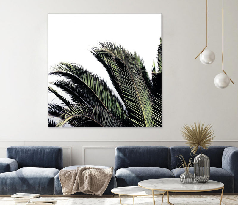 \"Cape Storm\" Giant Art 72x72 Wall Art