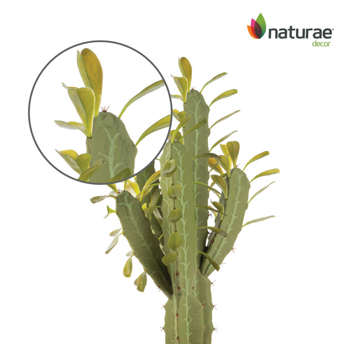 Artificial 25\" Candelabra Cactus In Terracotta Pot