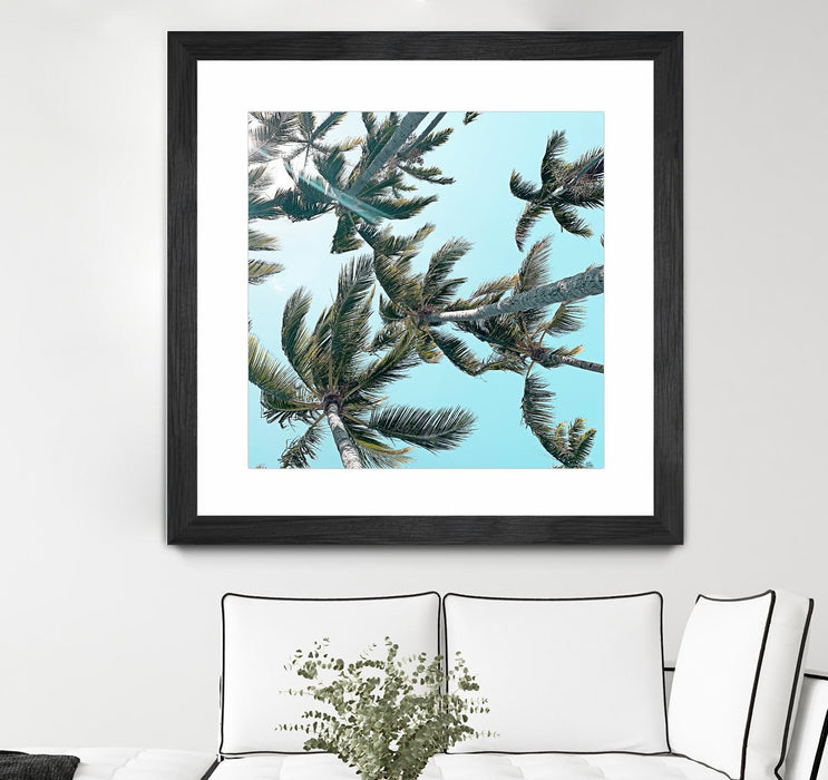\"Palm 03\" Matted and Framed Black 36x36 Wall Art