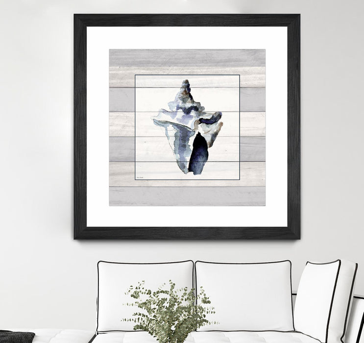 \"Muted Blue Sea Conch On Wood\" Matted and Framed Black 36x36 Wall Art