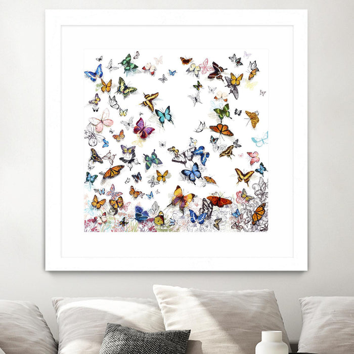 \"Papillon\" Matted and Framed White 30x30 Wall Art