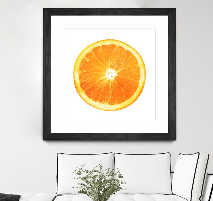 \"Citrus Cultivar\" Matted and Framed Black 30x30 Wall Art
