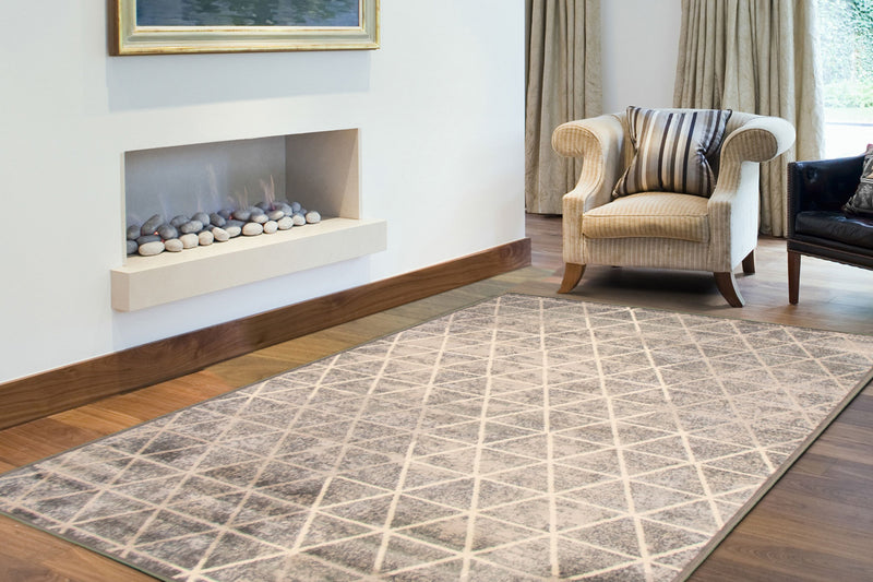 Jacob Grey Area Rug - 5'3\" x 7'3\"