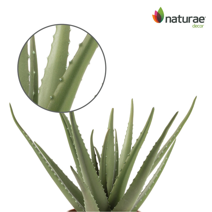 Artificial 17\" Aloe Vera In Terracotta Pot