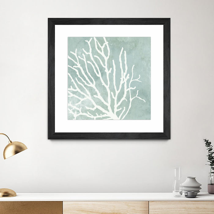 \"Sea Crown I\" Matted and Framed Black 30x30 Wall Art