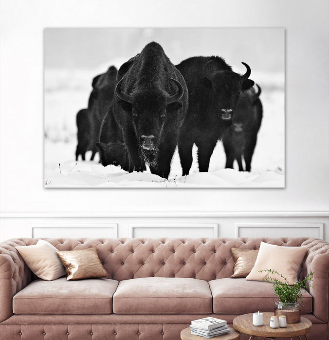 \"Europeans Bizons\" Giant Art 84x54 Wall Art