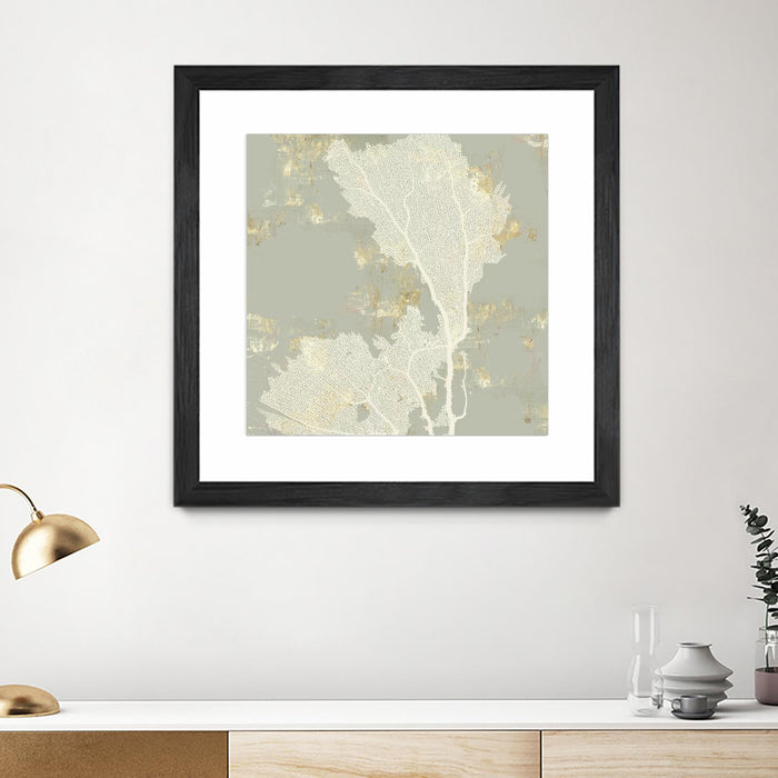 \"Sea Coral Ii\" Matted and Framed Black 36x36 Wall Art