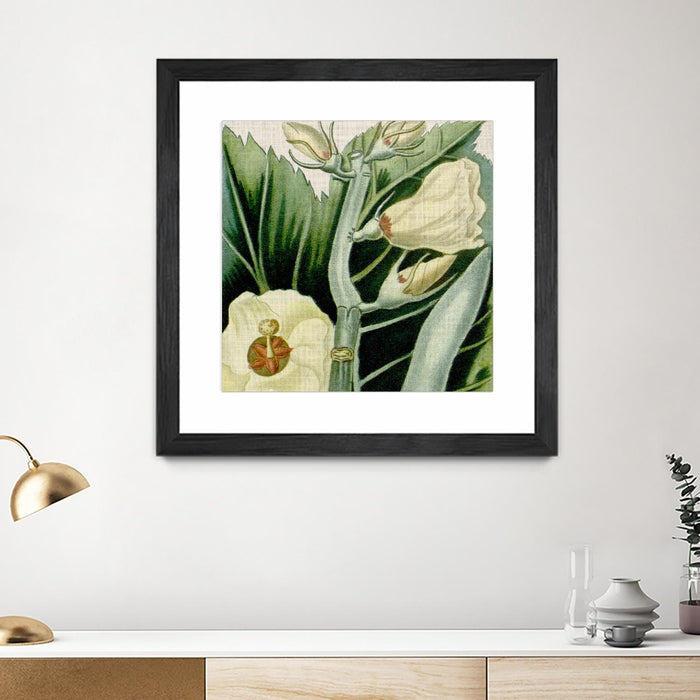 \"Cropped Turpin Tropicals Iii\" Matted and Framed Black 36x36 Wall Art