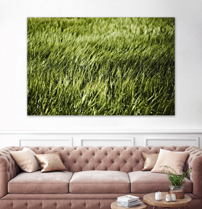 \"Grass Ii\" Giant Art 72x48 Wall Art