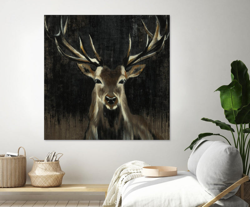 \"Young Buck\" Giant Art 72x72 Wall Art