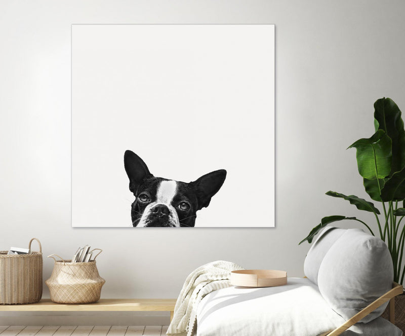 \"Loyalty\" Giant Art 72x72 Wall Art