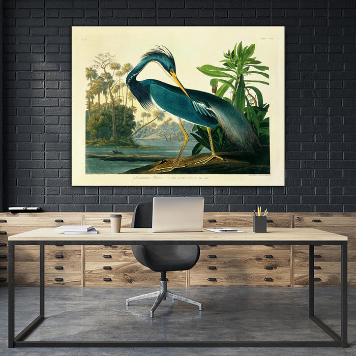 \"Louisiana Heron Plate 217\" Giant Art 72x54 Wall Art