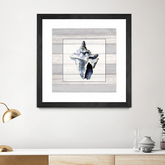 \"Muted Blue Sea Conch On Wood\" Matted and Framed Black 36x36 Wall Art