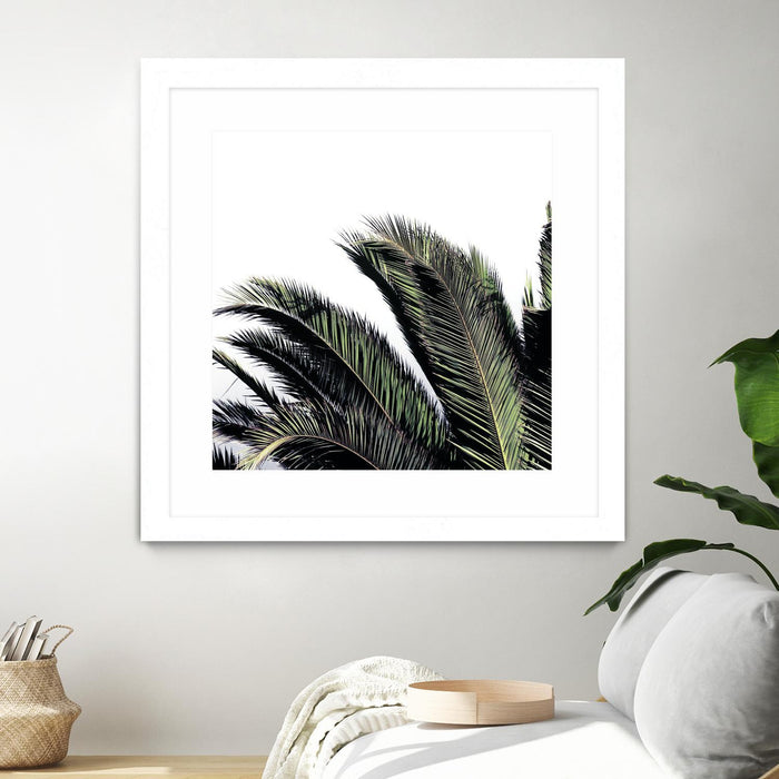\"Cape Storm\" Matted and Framed White 30x30 Wall Art