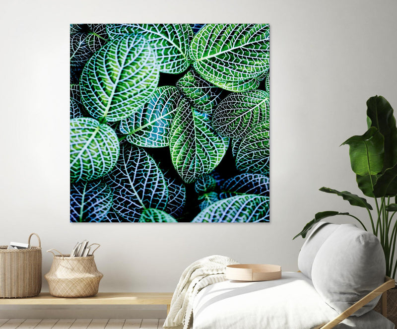 \"Leaf Viii\" Giant Art 54x54 Wall Art