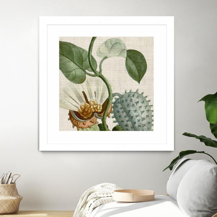 \"Cropped Turpin Tropicals Ii\" Matted and Framed White 36x36 Wall Art
