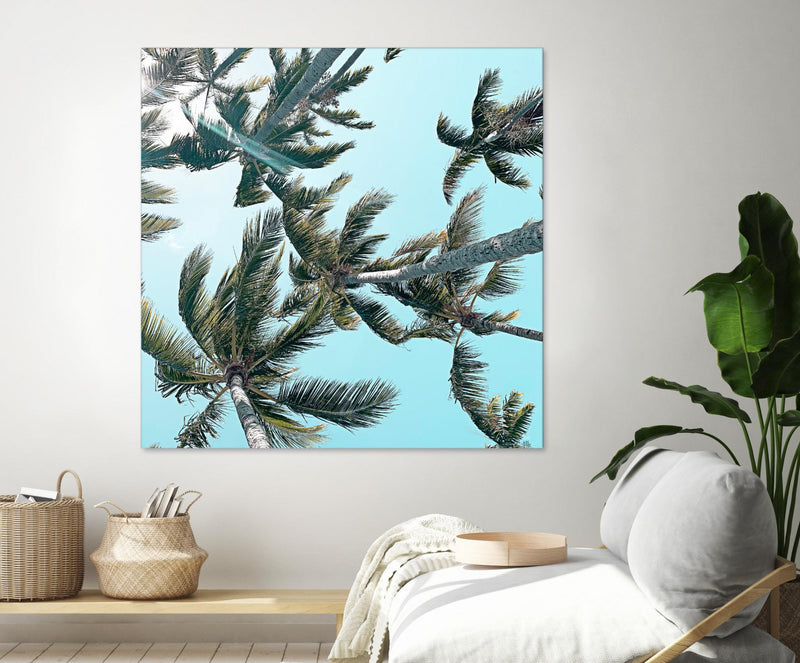 \"Palm 03\" Giant Art 54x54 Wall Art