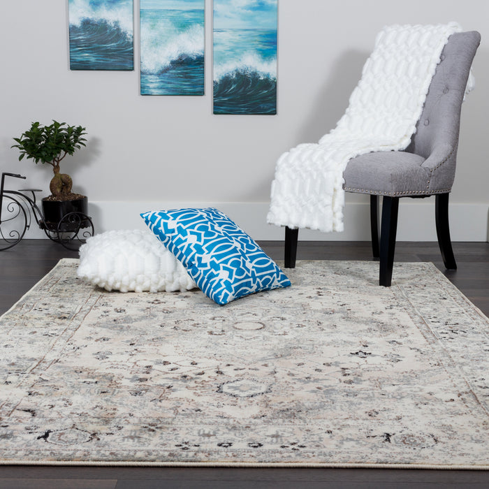 Far Grey 4x6 Area Rug