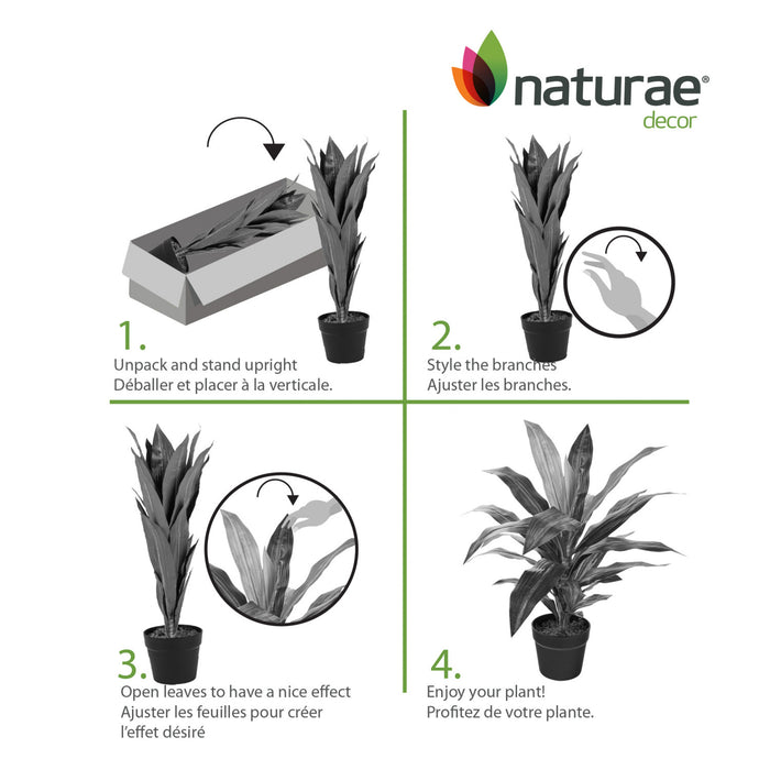 Artificial 25\" Dracaena In Black Pot