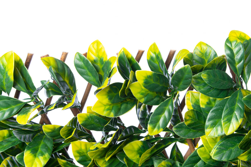 Artificial Willow Expandable Trellis 36\"x 72\" Gardenia Leaves