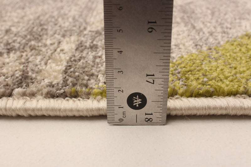 Korra Ivory / Green 3'11\" x 5'7\" Area Rug