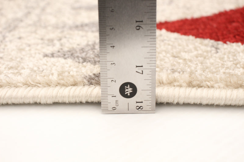 Raja Ivory-Red Area Rug - 3'11\" x 5'7\"