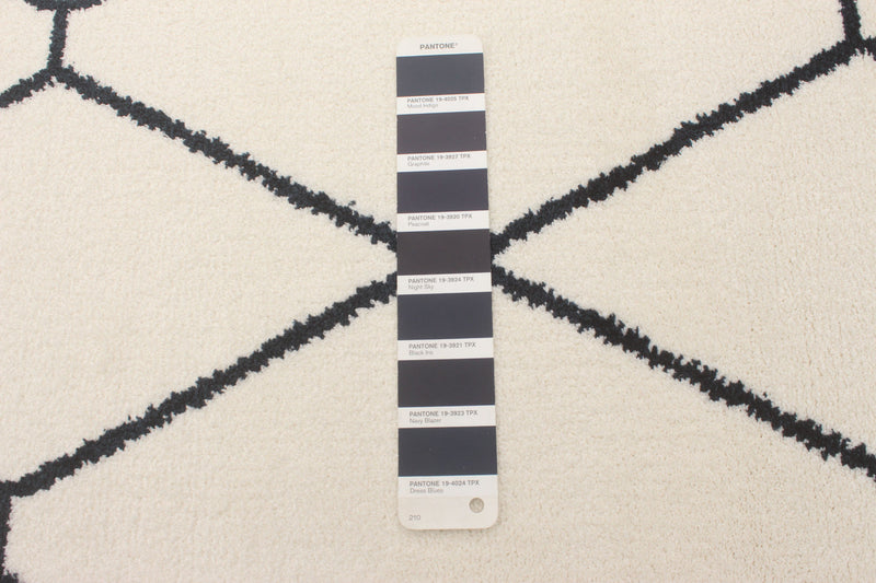 August White-Navy 6'7\" x 9'6\" Area Rug