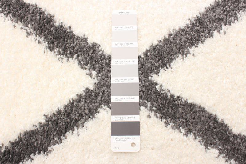Sophia Ivory Shag 3'11\" x 6'0\" Area Rug