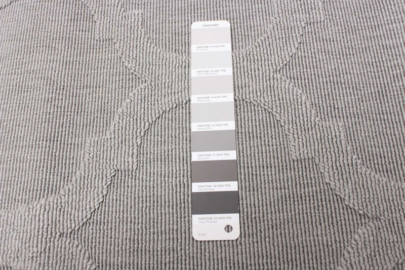  Sophie Grey Area Rug - 2'8\" x 4'11\"
