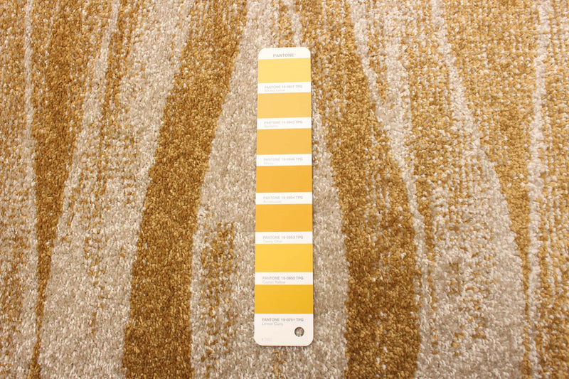 Arusha Ivory / Gold 7'10\" x 10'2\" Area Rug