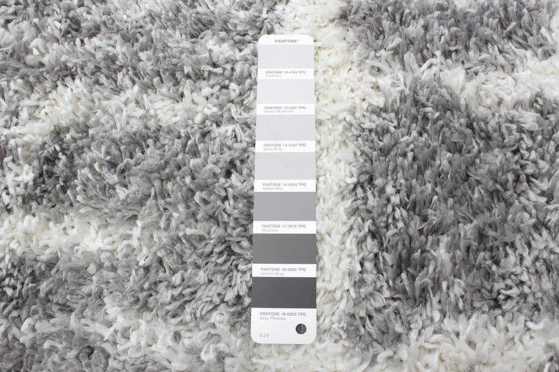 Helma Urban Cream, Dark Grey Shag 3'11\" X 5'11\" Area Rug