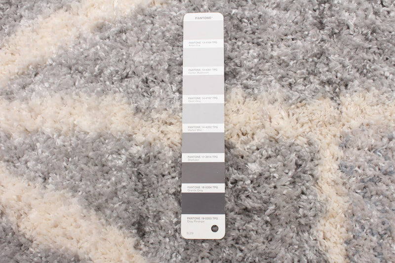 Bellanca Grey Area Rug - 3'11\" X 5'7\"