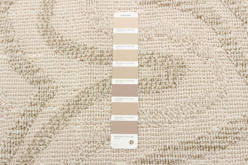Elissa Beige Area Rug - 5'0\" x 7'0\"