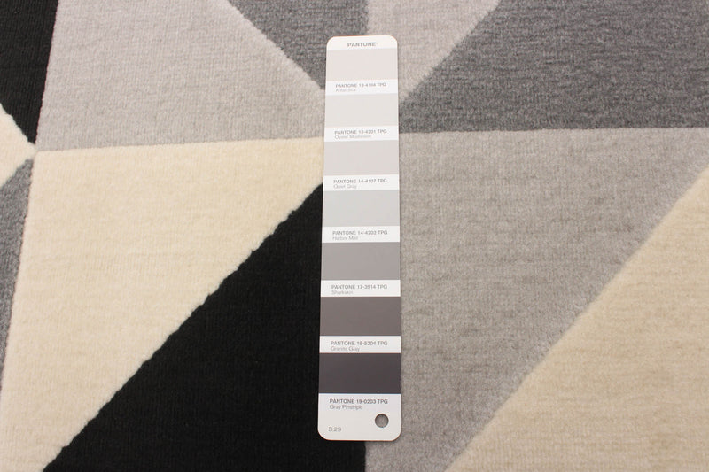 Nuria Black 3'11\" x 5'7\" Area Rug