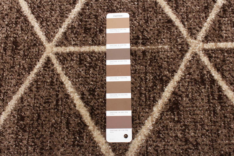 Davina Chocolate Area Rug - 6'7\" X 9'10\" 