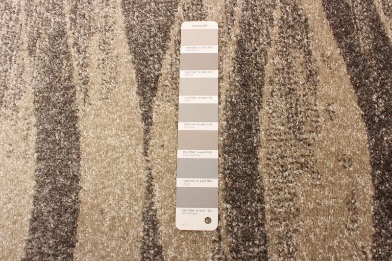 Arusha Ivory / Grey 6'7\" x 9'6\" Area Rug