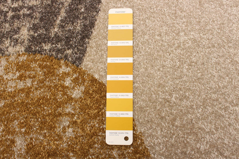 Ellegance Ivory / Gold 6'7\" x 9'6\" Area Rug