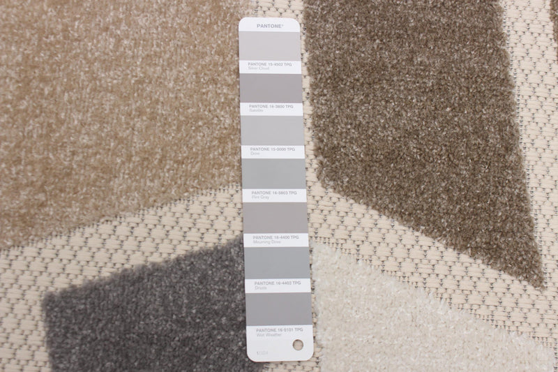 Celestina Ivory Area Rug - 7'10\" X 10'2\" 