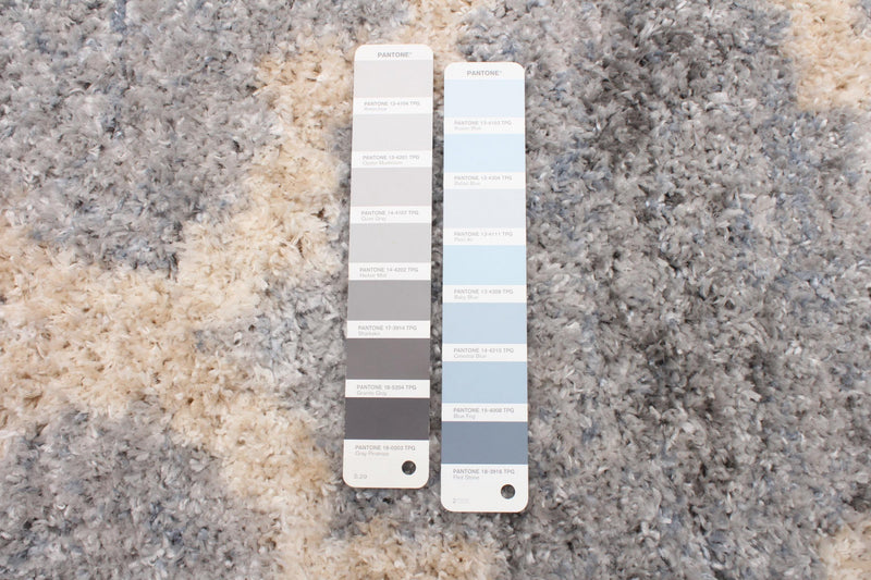 Dimity Grey Area Rug - 6'7\" x 9'6\"