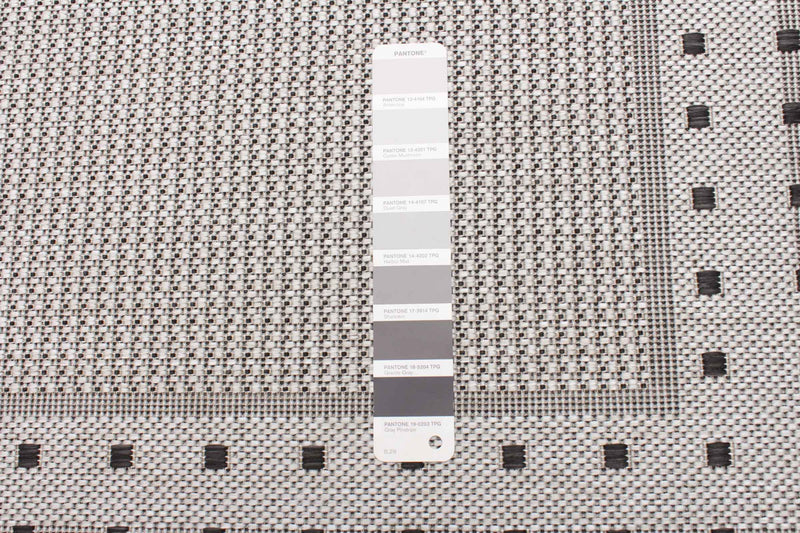 Clementine Grey Area Rug - 2'2\" X 6'7\" 