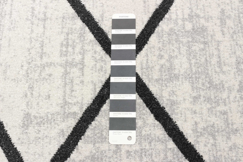 Damali Ivory/Black Machine Washable Area Rug - 5'0\" x 7'0\"