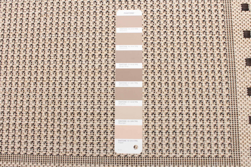 Clementine Cream Area Rug - 2'2\" X 3'11\" 