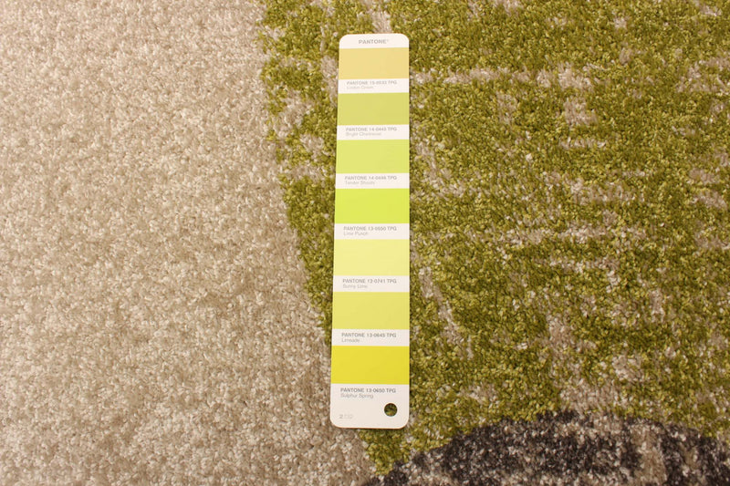 Ellegance Ivory / Green 3'11\" x 5'7\" Area Rug