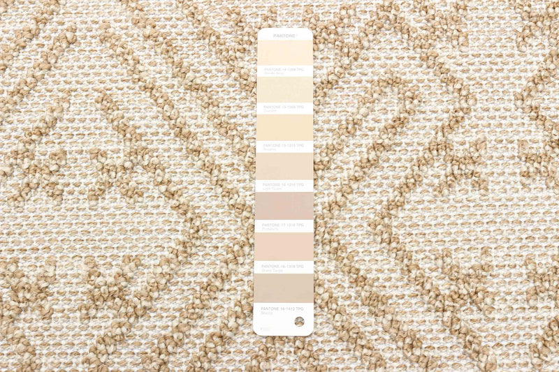 Penney Taupe Area Rug - 5'0\" x 7'0\"